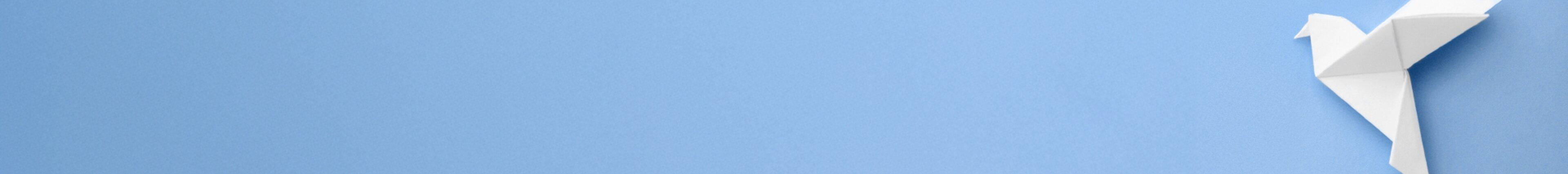 Headerbanner der Seite Produkt-Innovationen Ein hellblauer Hintergrund mit Origami-Vogel symbolisiert Fortschritt, Kreativität und Schweizer Präzision. Das Motiv steht für die Innovationskraft von Säntis Packaging – für Verpackungslösungen, die technologische Raffinesse, Nachhaltigkeit und Design zu einem zukunftsfähigen Ganzen verbinden.