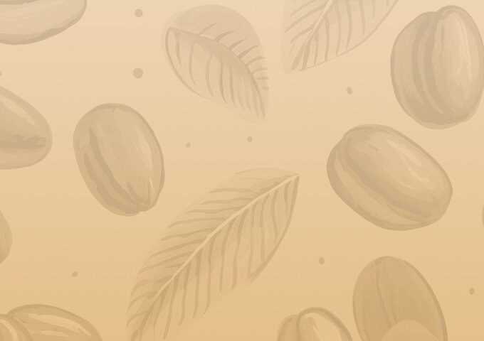 Warmes Hintergrundmuster mit Kaffeebohnen und Blättern im Naturton – Stimmungsdesign für die Produktlinie kompostierbarer NAT®Cap Home Kaffeekapseln von säntis packaging.