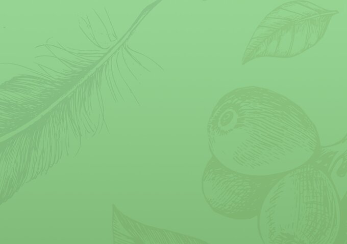 Grün gehaltener Hintergrund mit botanischen Illustrationen von Blättern und Früchten – dekoratives Naturelement im nachhaltigen Designkontext von säntis packaging.