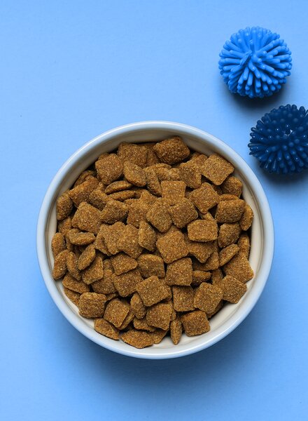 Weisse Schale mit Trockenfutter auf hellblauem Hintergrund – Symbol für funktionale und hygienische Tierfutterverpackungen von säntis packaging, die Frische, Komfort und Nachhaltigkeit vereinen.