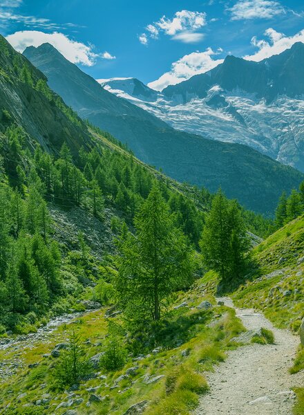 Wanderweg durch grüne Berglandschaft mit Blick auf Gletscher – symbolisiert den kontinuierlichen Weg von säntis packaging zu mehr Nachhaltigkeit, Verantwortung und Fortschritt.