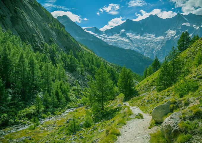 Wanderweg durch grüne Berglandschaft mit Blick auf Gletscher – symbolisiert den kontinuierlichen Weg von säntis packaging zu mehr Nachhaltigkeit, Verantwortung und Fortschritt.